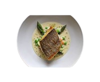 Sea Bream 